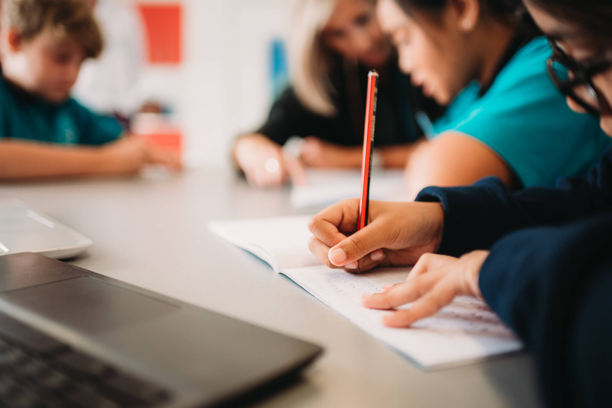 Hobsonville-School-56